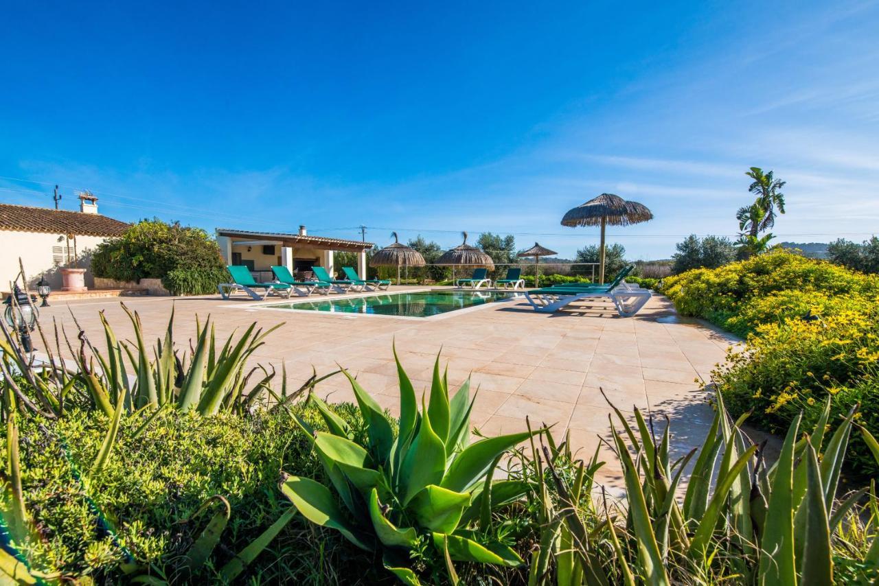 Finca Cas Padrins Manacor Kültér fotó